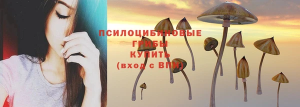 твердый Майский