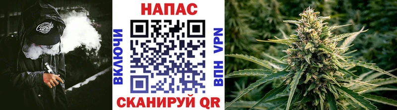 МАРИХУАНА White Widow  Купить закладки  Усть-Джегута 